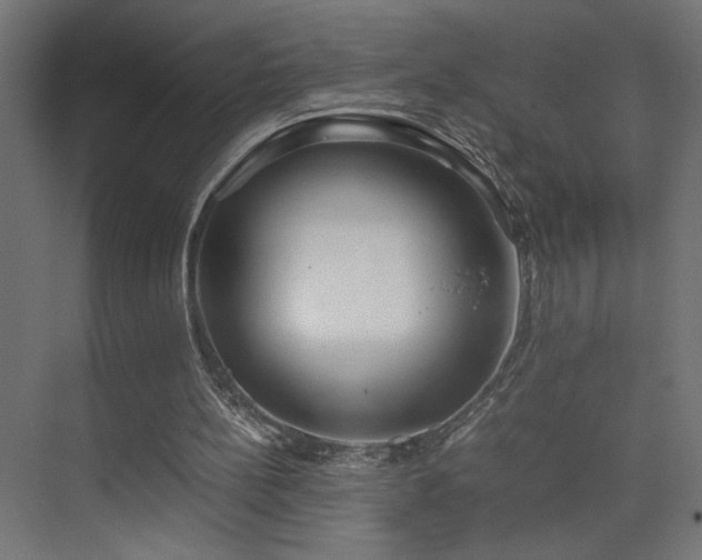 X0000074210148200608251112