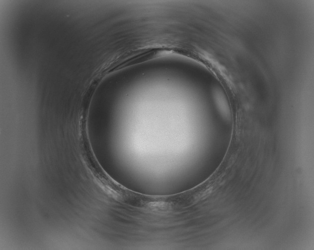 X0000074210153200608251112