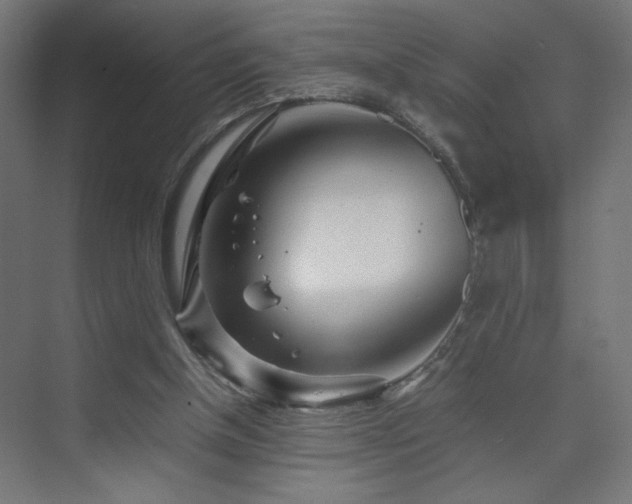 X0000074210154200608251112