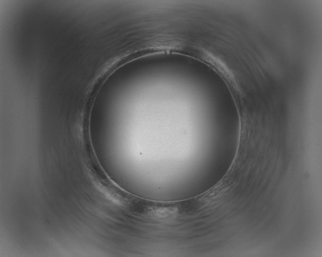 X0000074210155200608251112