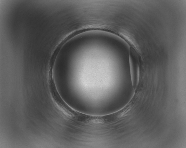 X0000074210156200608251112