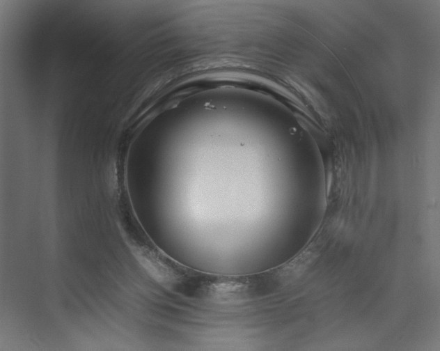 X0000074210158200608251112