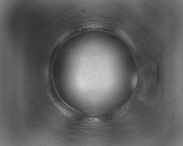 X0000074210159200608251112