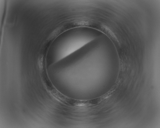 X0000074210163200608251112