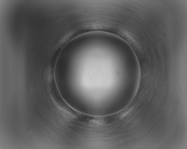 X0000074210164200608251112