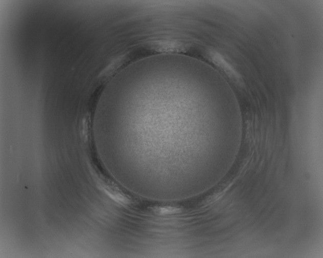 X0000074210165200608251112