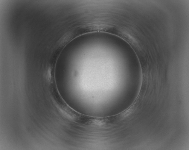 X0000074210166200608251112