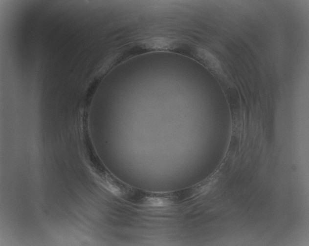 X0000074210167200608251112
