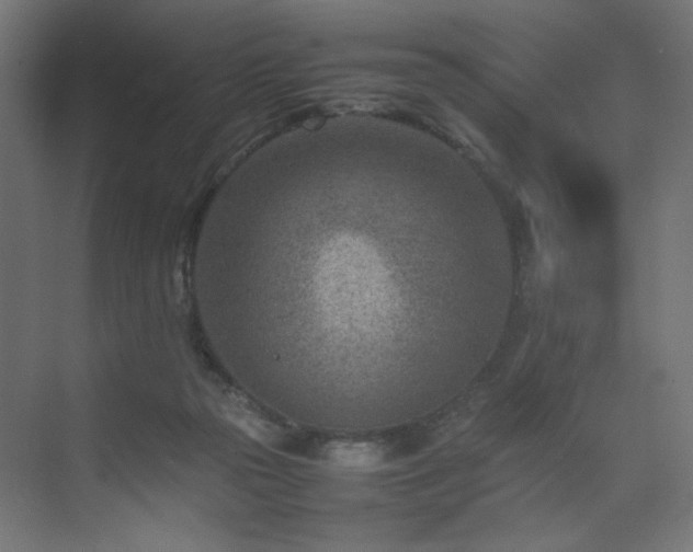 X0000074210169200608251112