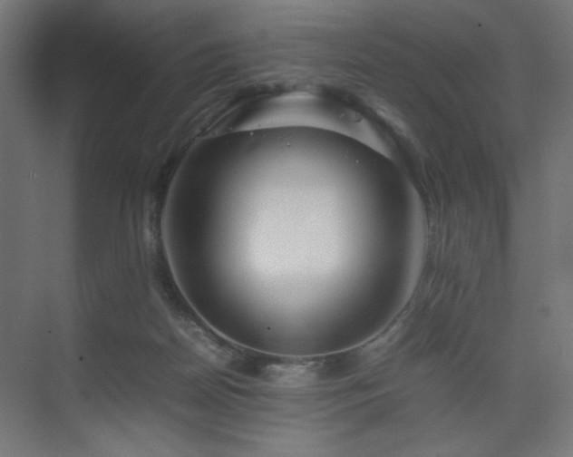 X0000074210170200608251112