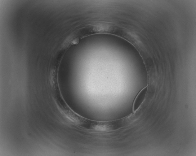 X0000074210171200608251112