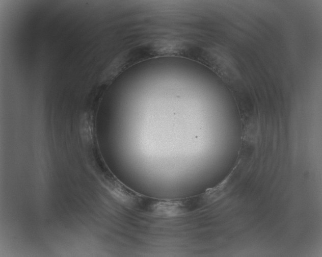 X0000074210179200608251112