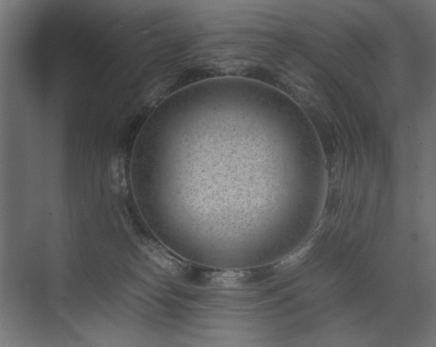 X0000074210182200608251112
