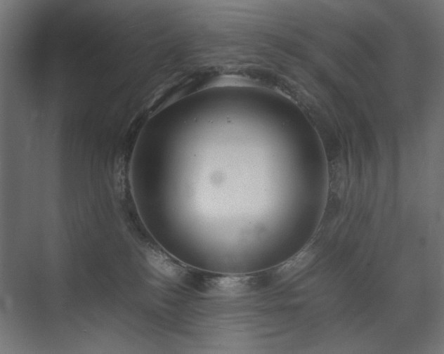 X0000074210184200608251112