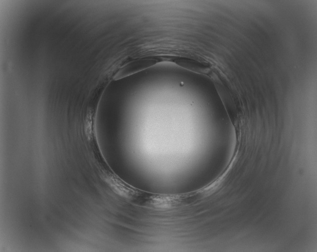 X0000074210190200608251112