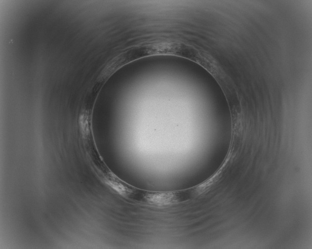 X0000074210191200608251112