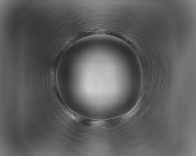 X0000074210192200608251112