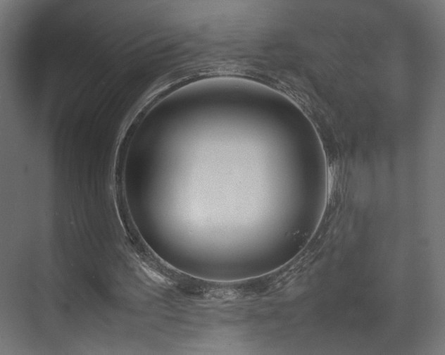 X0000074210195200608251111