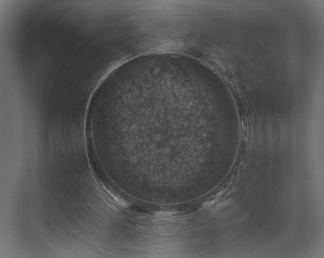 X0000074210196200608251111