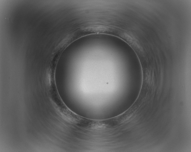 X0000074210206200608251111