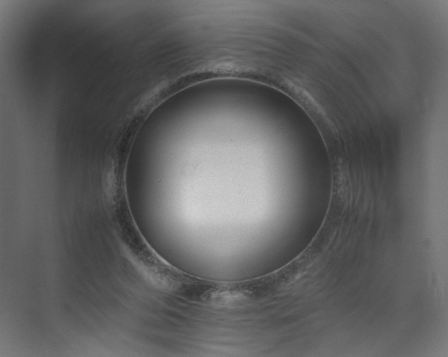 X0000074210208200608251111