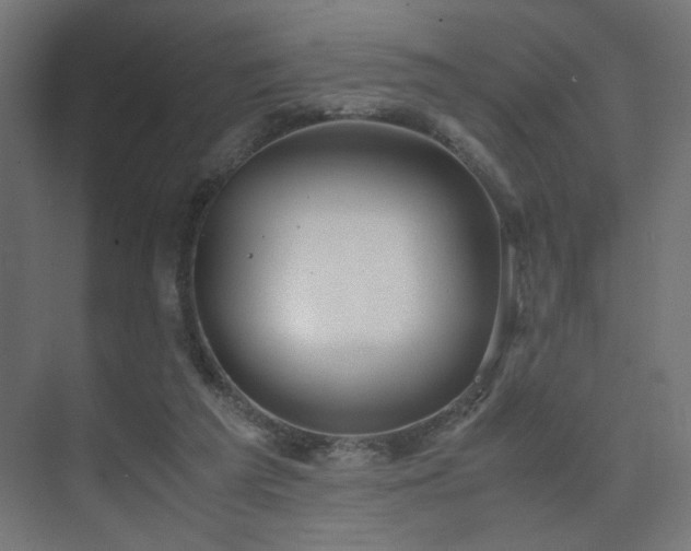 X0000074210209200608251111
