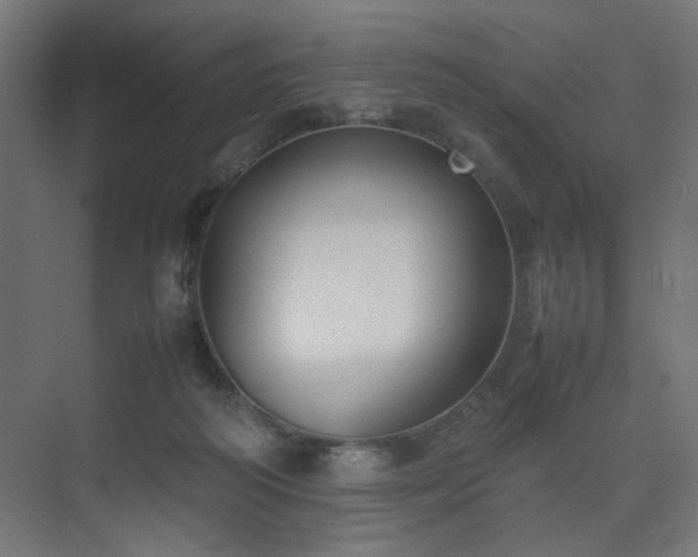 X0000074210218200608251111