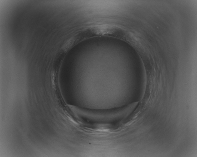X0000074210219200608251111