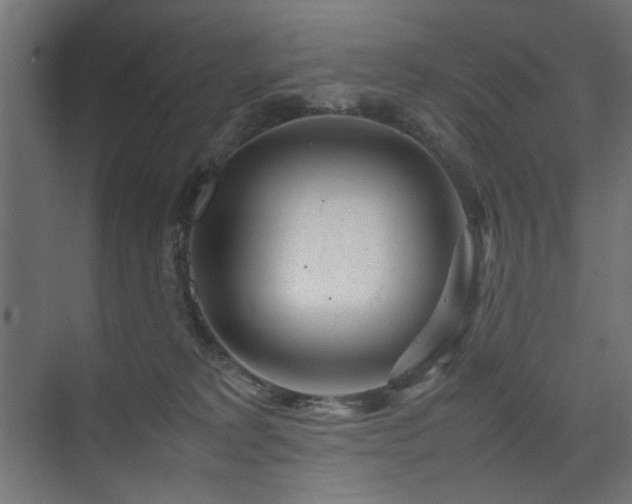 X0000074210229200608251111