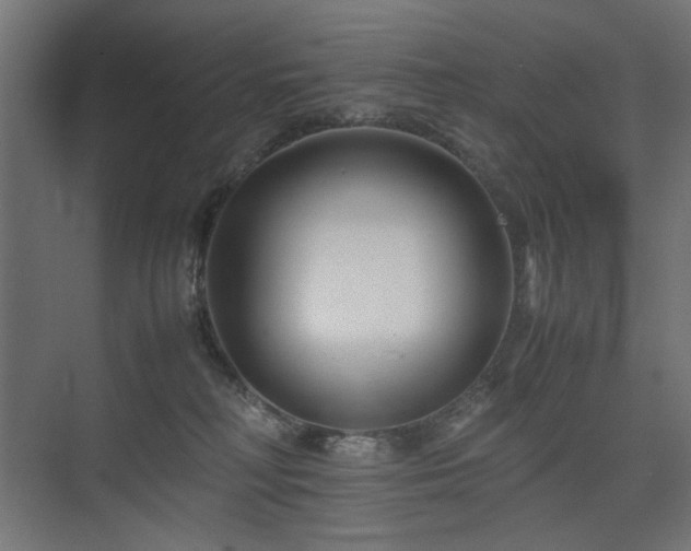 X0000074210230200608251111