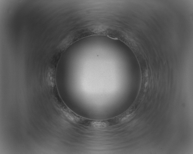 X0000074210234200608251111