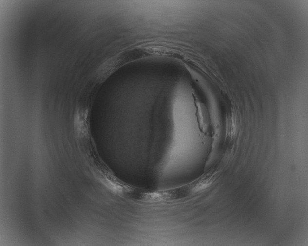 X0000074210239200608251111