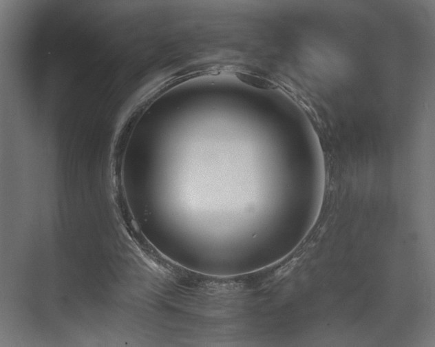 X0000074210245200608251110