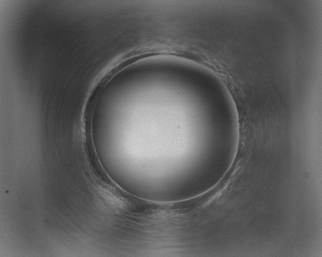 X0000074210246200608251110