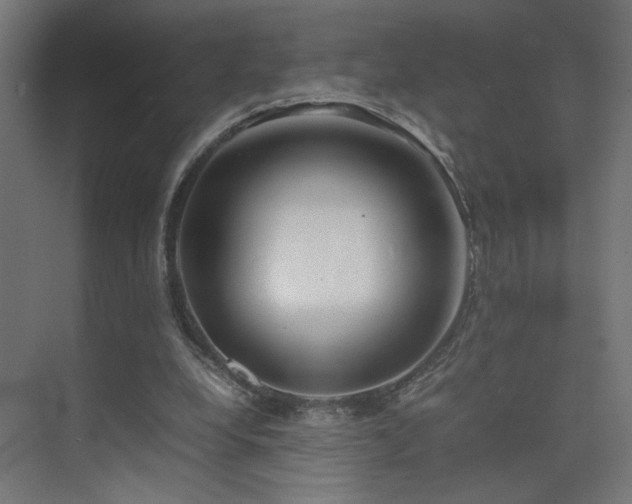 X0000074210248200608251110