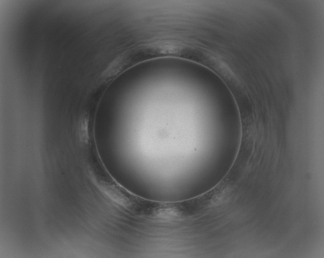 X0000074210262200608251110