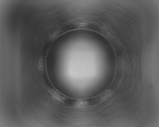 X0000074210274200608251110