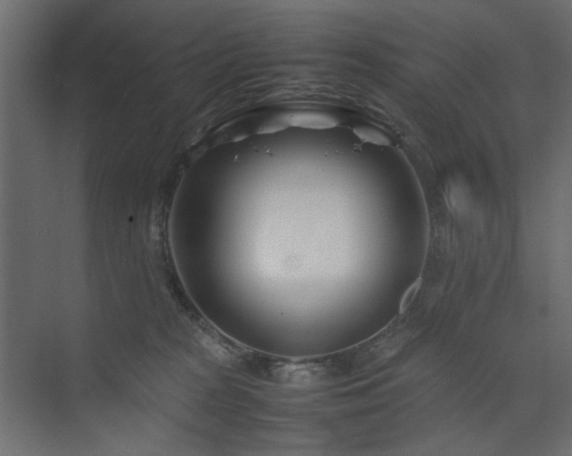 X0000074210277200608251110