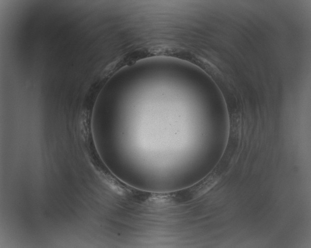 X0000074210280200608251111