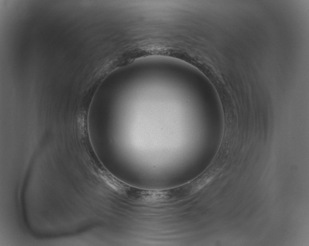 X0000074210288200608251111