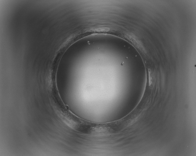 X0000074210300200608251110