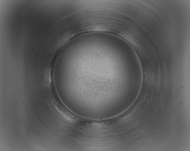 X0000074210302200608251110
