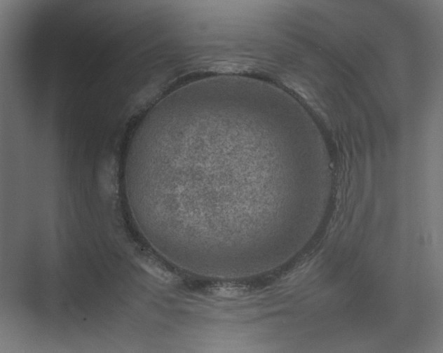 X0000074210303200608251110