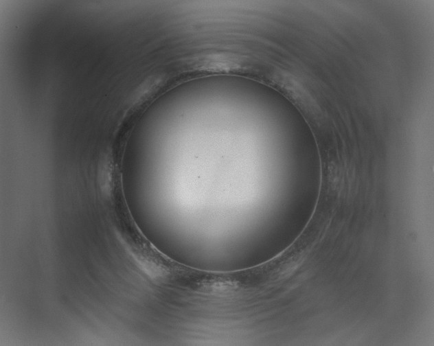 X0000074210304200608251110