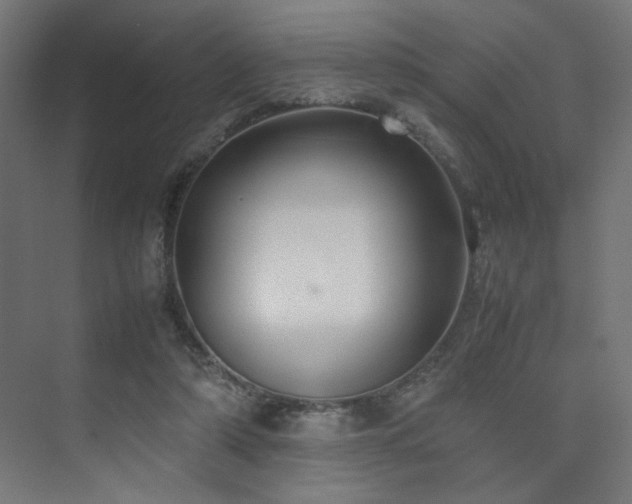 X0000074210306200608251110