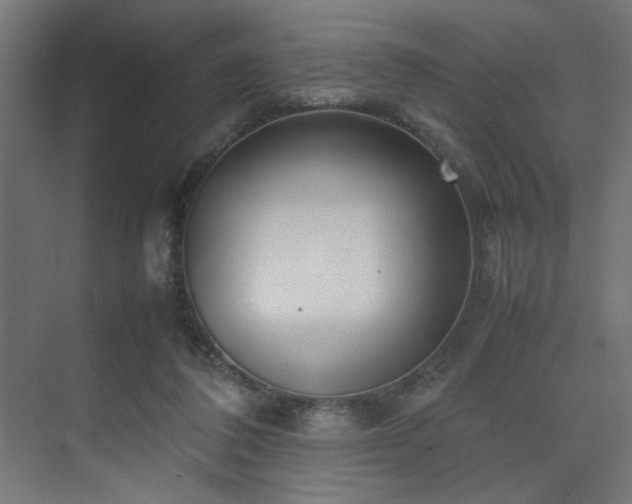 X0000074210308200608251110