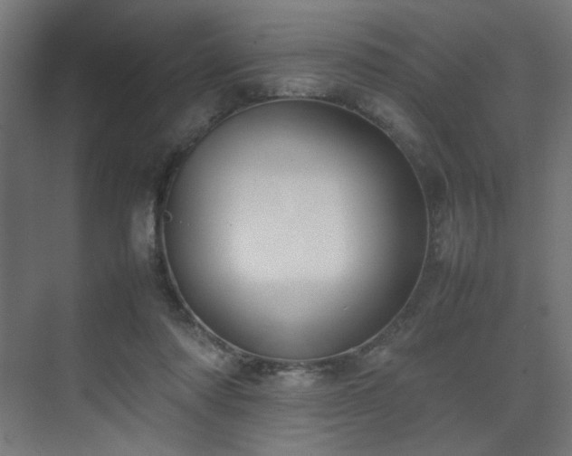 X0000074210310200608251110