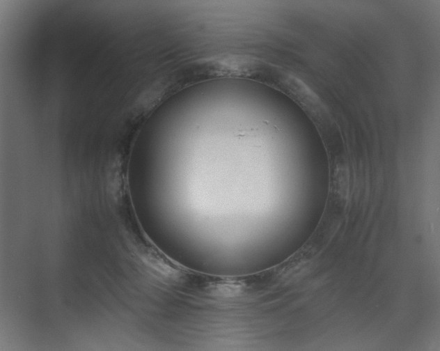 X0000074210318200608251109