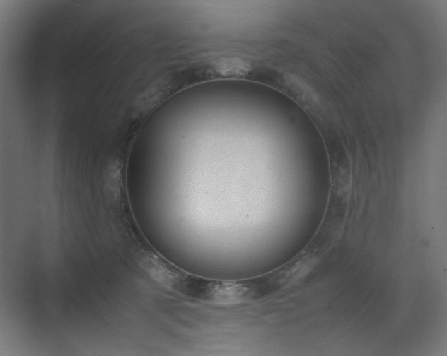 X0000074210321200608251109