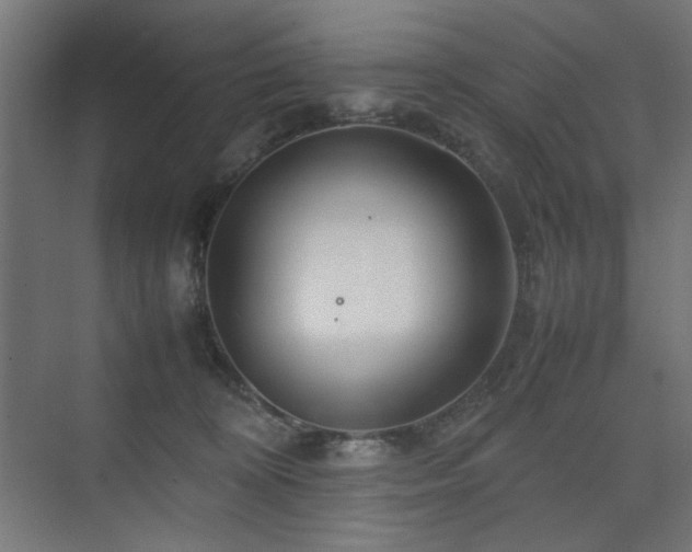 X0000074210324200608251109